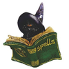 54668-2 Witchy Cat Green Reading Spell Book