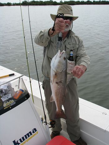 Moster Redfish Crystal River Florida 2012

