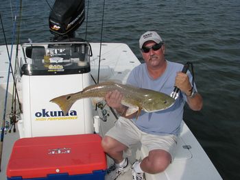 Bobby Sands with a HUGE 10 1/2 lb. 30 inch redfish caught out of the Crystal River area April 2012.
