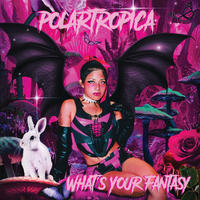 WHAT'S YOUR FANTASY by POLARTROPICA
