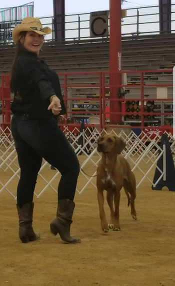 In the Breed Ring

