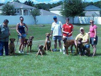 TuckerRidge Puppies at 16 mo. old at the Fun Day for SSRRC 9-26-2009 From left to right, Manny with Dugga, Casey wtih Nixie lying down and Lilly standing by Casey is the mother of the puppies, Gary with Cooper, Stacey with Roxy and Nate&Beth with Mayzi, the newlyweds : ) Thank you all for comming and having fun with all the Ridgebacks!
