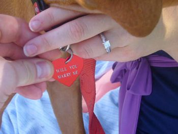 When he proposed, read the dog tag, isnt that sweet?
