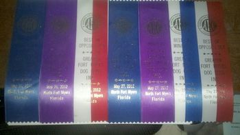 Here are Peppers Ribbons from the whole weekend in Fort Myers from the dog show!

