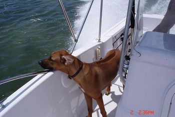 Lilly on our boat catching some sea breeze

