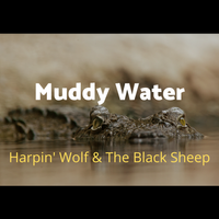 Muddy Water by Harpin' Wolf & The Black Sheep
