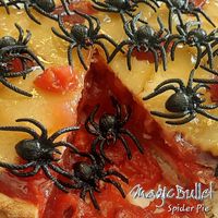 Spider Pie by Magic Bullet