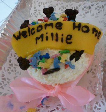 Millie's cake...
