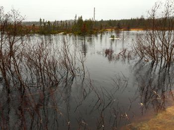This should be trees on solid land. Not tonight...  Near Greenspond, NL.
