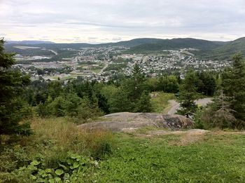View of Corner Brook from the lookout. Allison lived here in her preschool days.
