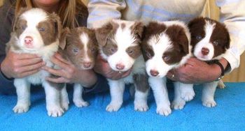Cinnie as a baby with her siblings
