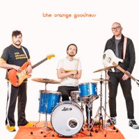 Flying Under The Radar Of Chaos ( Instrumentals + Photos) by The Orange Goodness