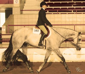 Skys Blue Star 2007 RESERVE High Point Sr HUS 2007 RESERVE High Point Amateur HUS 2007 High Point HUS - Third 2007 High Point Showmanship - Third 2007 High Point Hunt Seat Equitation - Eigth