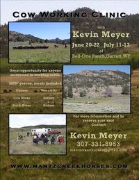 Cow Working Clinic with Kevin Meyer