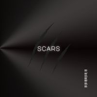 Scars by Junkyard Groove