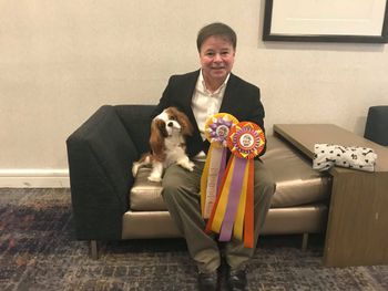 Del Sol Dress to Impress "Randy" was Best Puppy In Show at the Cavaliers of the West Show under judge Eddie Edwards! Way to go John Macrae and Randy!!
