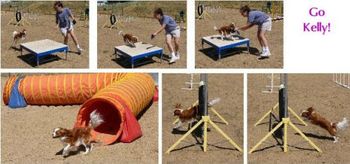 Kelly (Lucy's mom) loved agility!!

