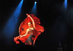 The Toronto International Flamenco Festival Canadian Showcase July 3rd 2010
