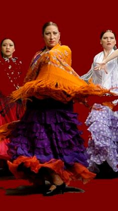 Centro Flamenco
