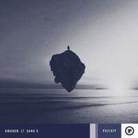 Sang X (Puzl Records) by Awaken (2020-02-21)