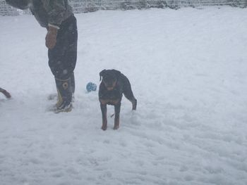 Rogue takes after his auntie Raven - he loves the snow.
