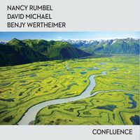 Confluence by Nancy Rumbel, David Michael, & Benjy Wertheimer