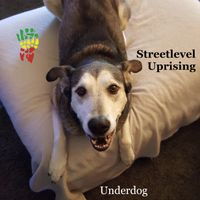 Underdog by Streetlevel Uprising
