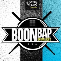 Boon Bap Drum Loops Collection 