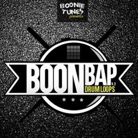 Boon Bap Drum Loops Vol. 2
