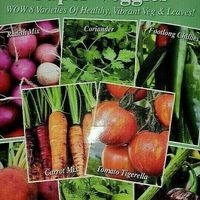 Super Veggies 8in1 Seed Pack - Over 300 Seeds - Free Shipping & Free Stickers