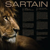 Sartain: Vinyl - LOCAL ATL PICKUP