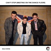 CAN'T STOP (MEETING ON THE DANCEFLOOR) by Wild Horse