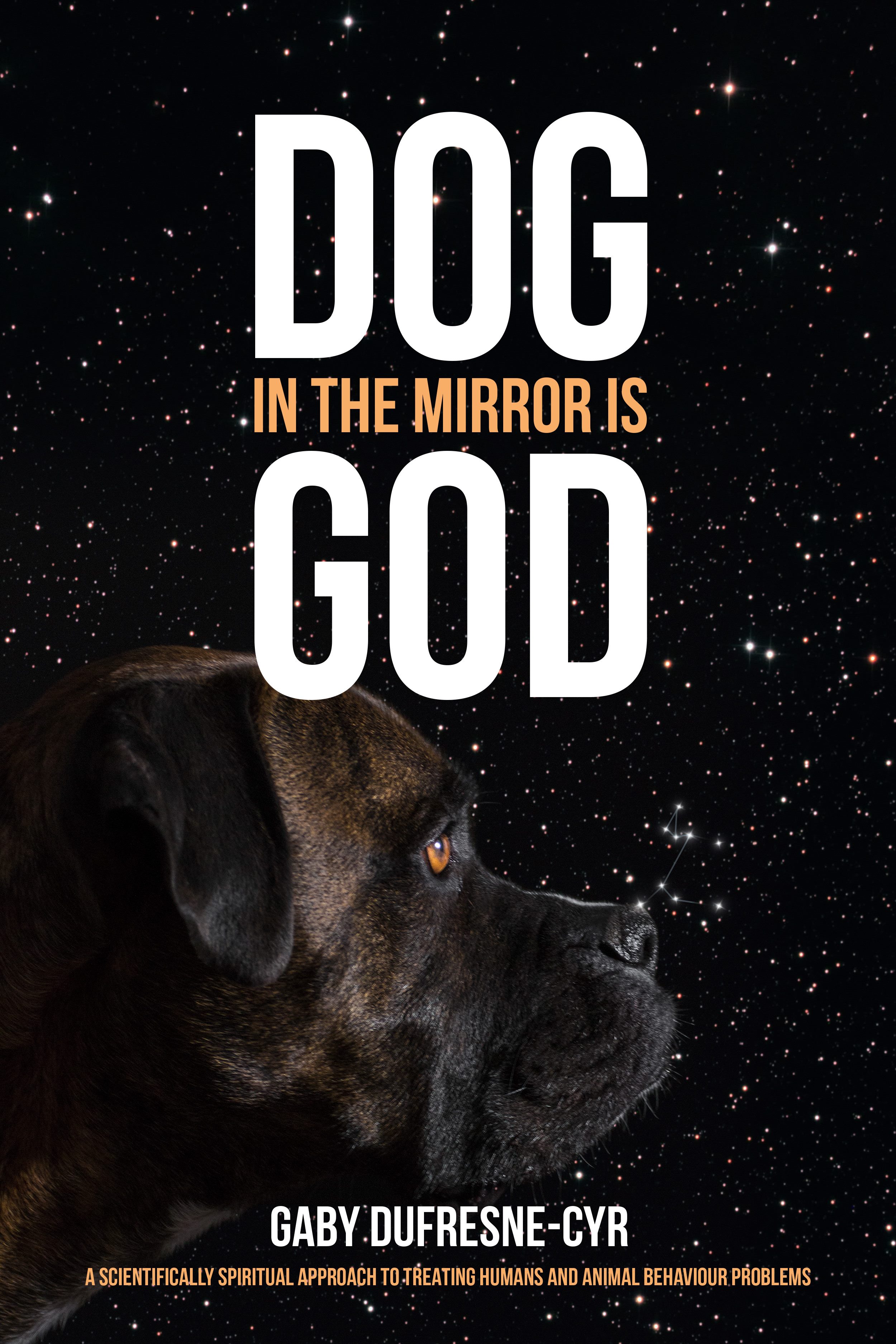 Dog in the mirror book cover