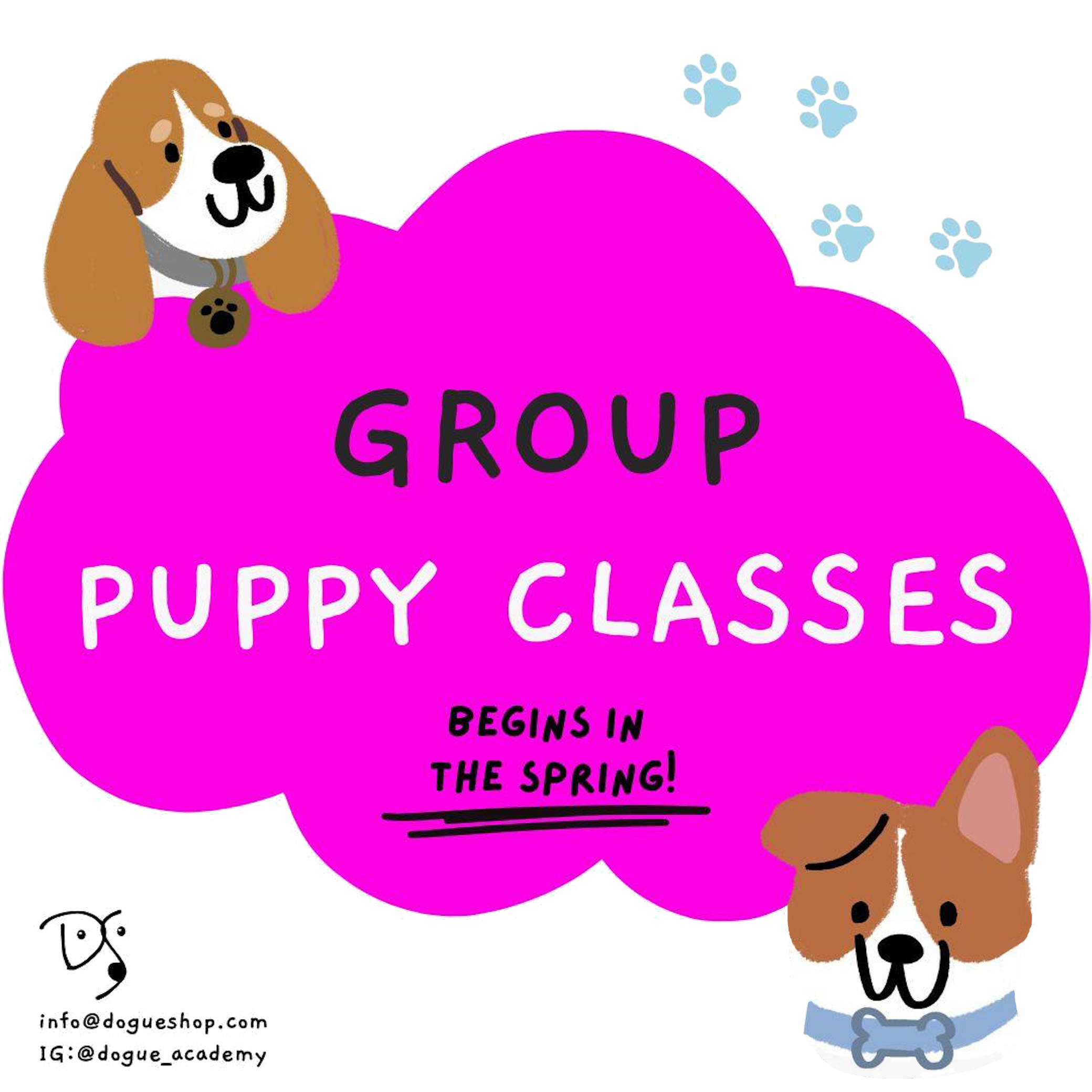 Puppy group class image