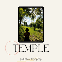 Temple by Marta Popovici & On The Fly