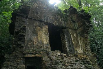 The Forgotten Temple Palenque Mexico
