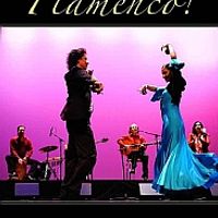 Flamenco! (Coffee Table Book with downloadable "Motivacion" Album)