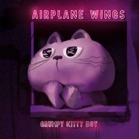 Airplane Wings by Grumpy Kitty Boy
