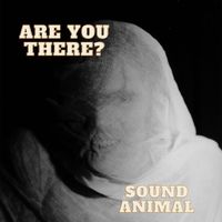 Are You There? by Sound Animal