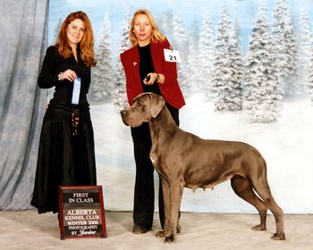 Afra-1st Place-Open Female Alberta Kennel Club February 5th, 2006 Calgary, Alberta Judge-Edna Gonzalez
