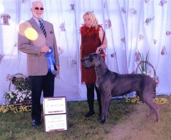 L&D Wagner Dog Afra 1st place - Open Blue Female Great Dane Club of Canada 42nd National Specialty August 5, 2006 Judge- Lester Mapes

