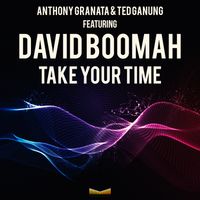 Take Your Time Featuring David Boomah by Anthony Granata, Ted Ganung, David Boomah