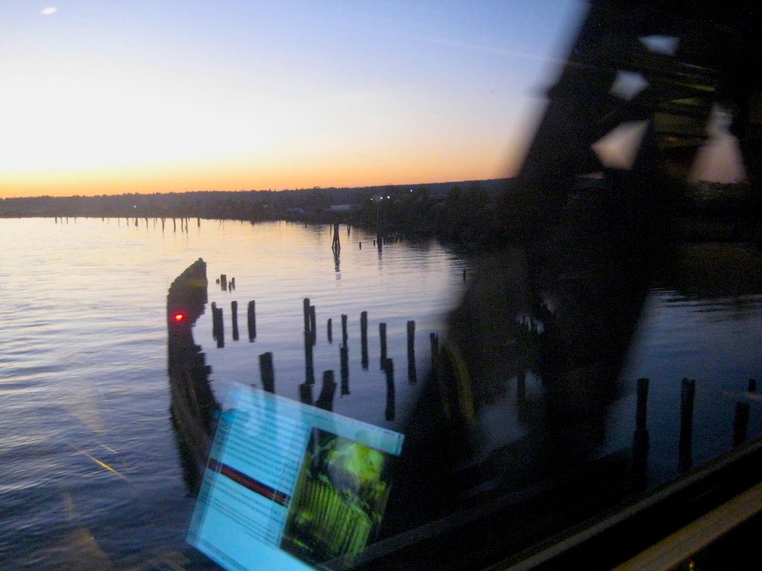 View from Train Window, Amtrak Cascades to Bellingham WA 9/11/15
