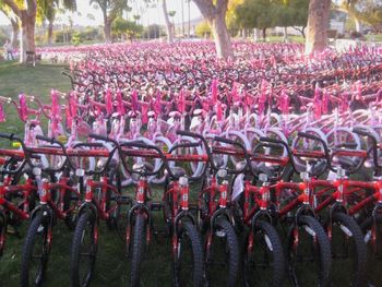 1000 Bikes. It's beginning to look a lot like Christmas.
