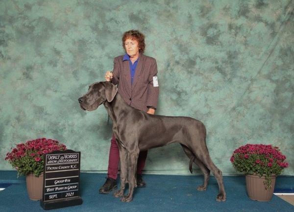 Win pic from her second set of shows . 4 BOB,4 BPIB, 1 group 4 and 1 BPIG.