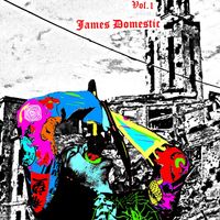 'DOMESTICATED VOL.1' BOOK BY JAMES DOMESTIC