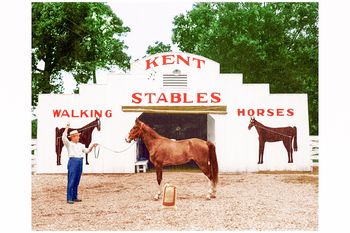 Thomas Kent Horse and Stables
