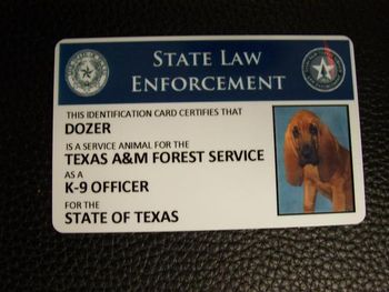 Dozer's official ID
