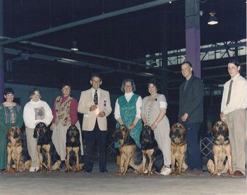 The Hunter x Yeager litter winning Stud Dog & Brood Bitch at the 1998 ABC Eastern Regionals. From the left are Bonnie, Sam, Honey, Hunter ,Yeager, Jager and Quinn. Jan & Julie (with Hunter and Yeager) are justifiably proud of this litter!
