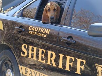 Dixie - keeping WV safe!!
